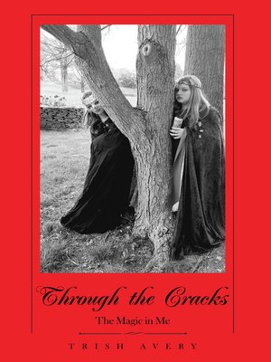 cover image of Through the Cracks